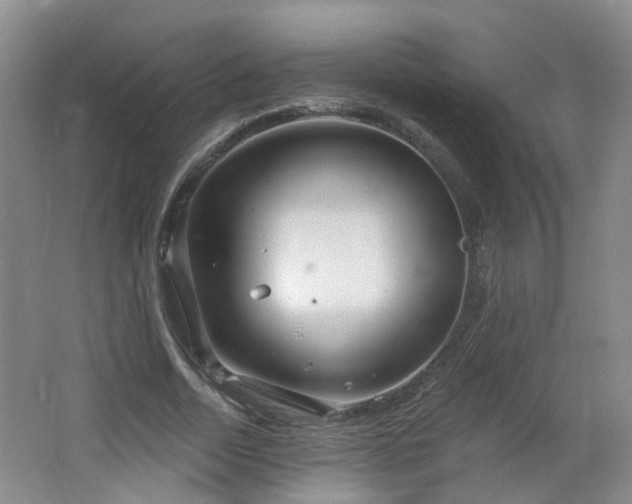 X0000064720730200602101123