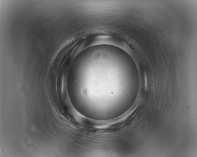 X0000064720731200602101123