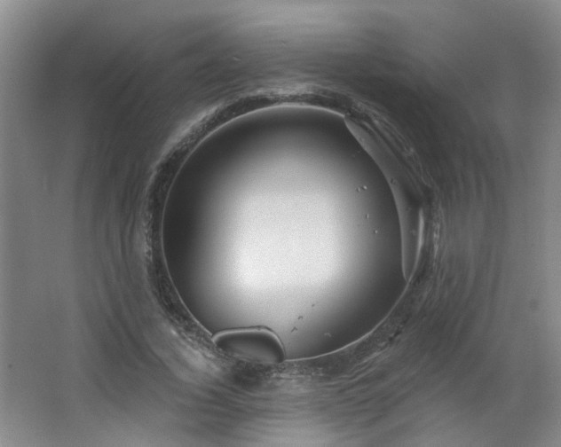 X0000064720732200602101123