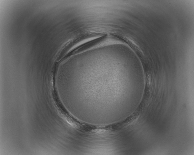 X0000064720733200602101123