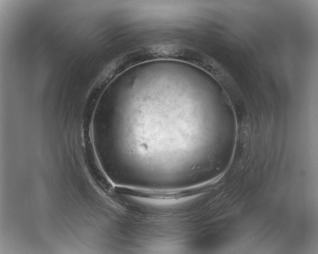 X0000064720734200602101123