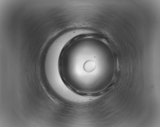 X0000064720736200602101123