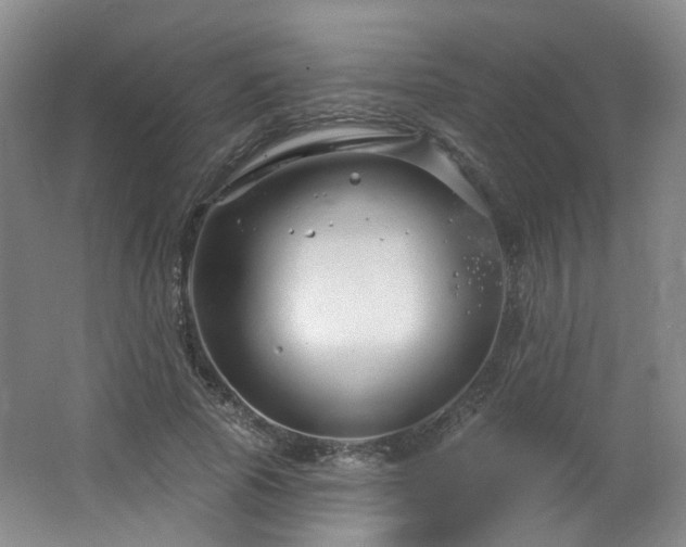 X0000064720737200602101123