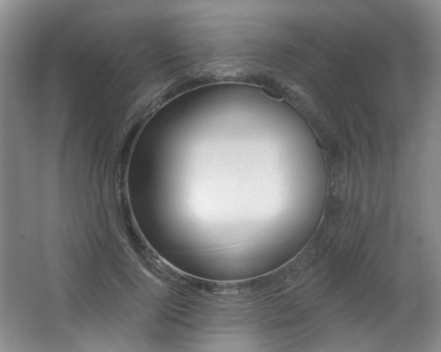 X0000064720740200602101123