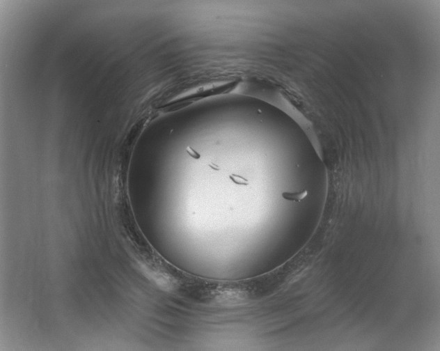 X0000064720741200602101123