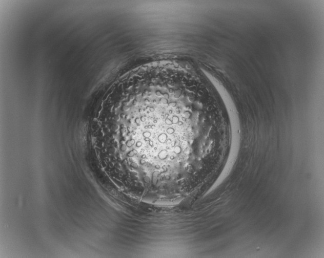 X0000064720742200602101123