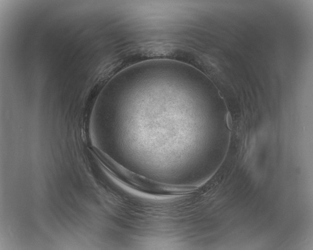 X0000064720743200602101123