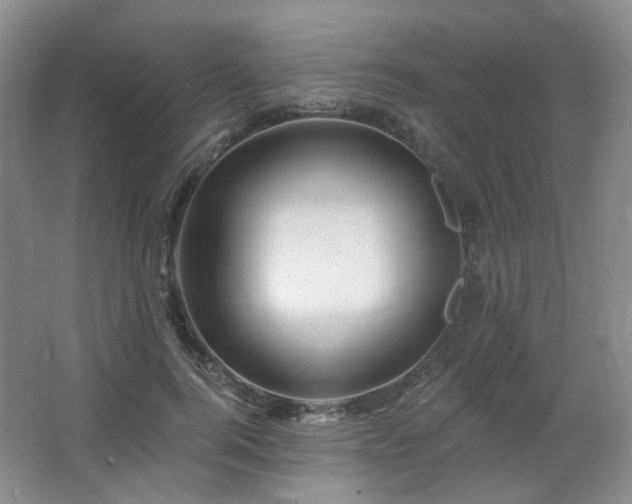 X0000064720744200602101123