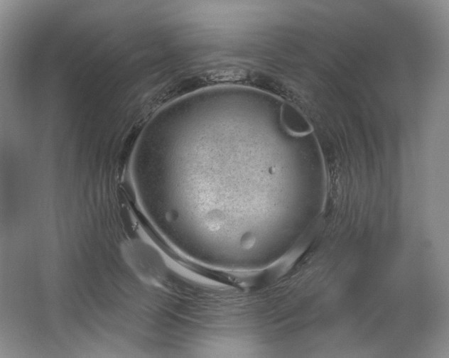 X0000064720745200602101123