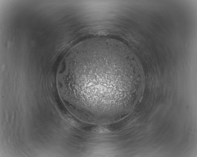 X0000064720747200602101123