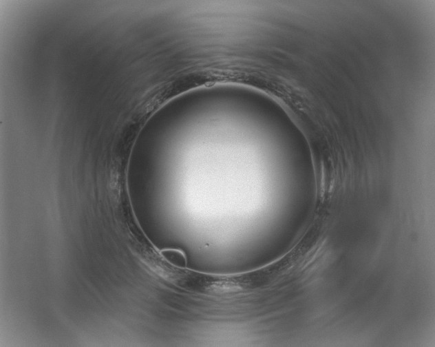 X0000064720749200602101123