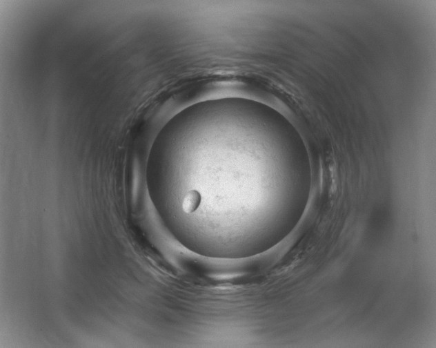 X0000064720750200602101123