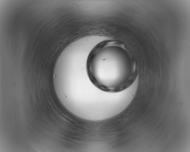 X0000064720752200602101123