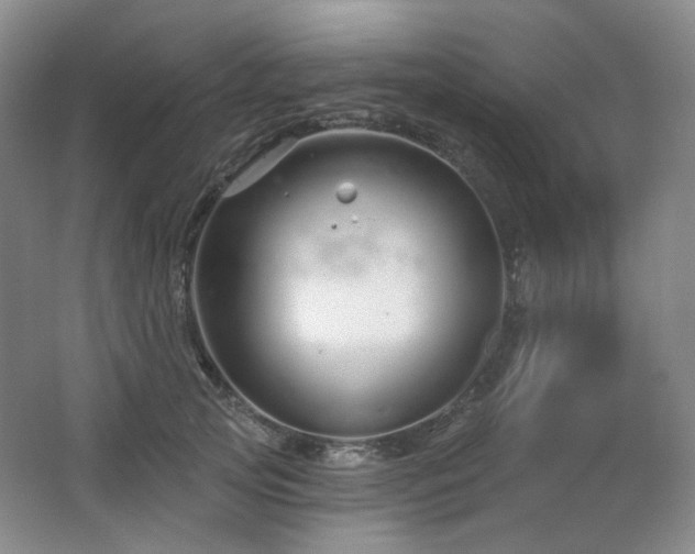 X0000064720753200602101123