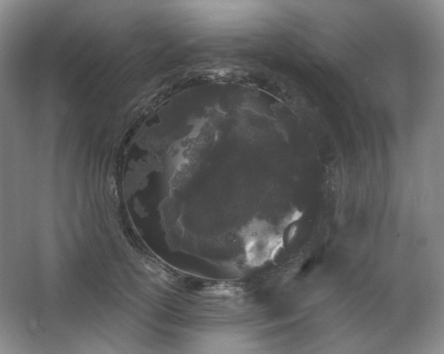 X0000064720754200602101123