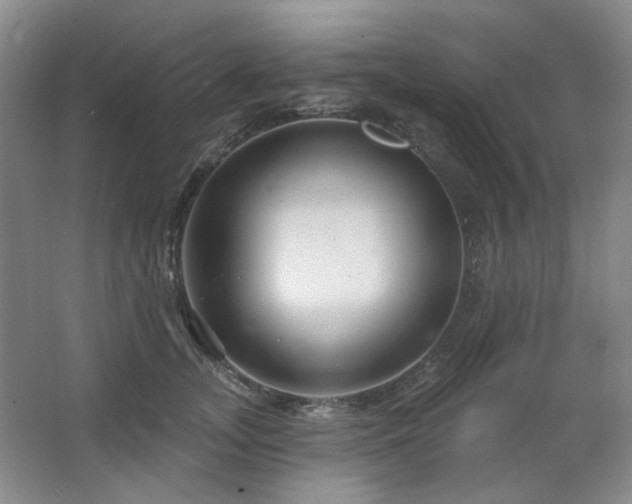 X0000064720755200602101123