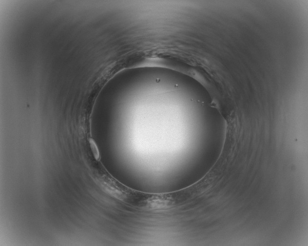 X0000064720756200602101123