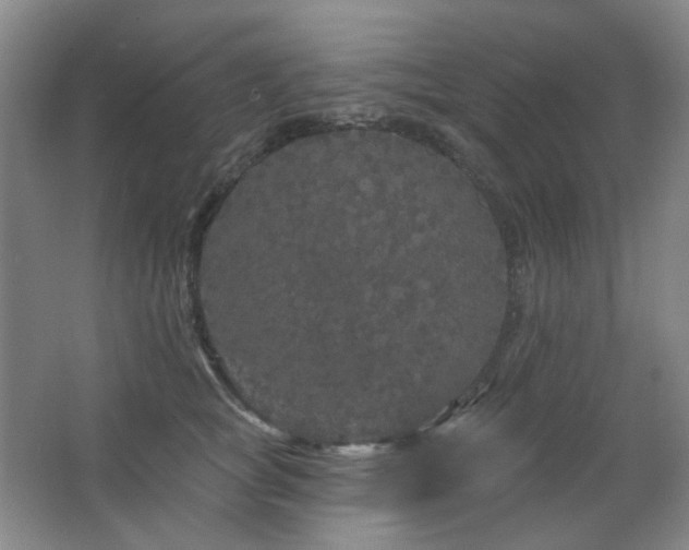 X0000064720757200602101123