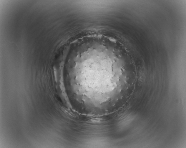 X0000064720758200602101123