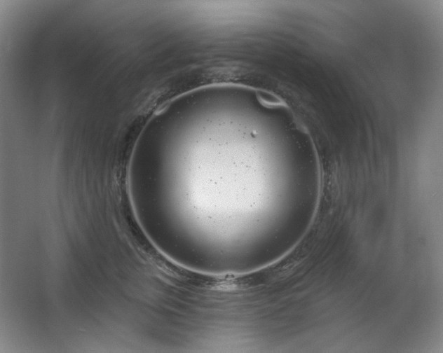 X0000064720759200602101124