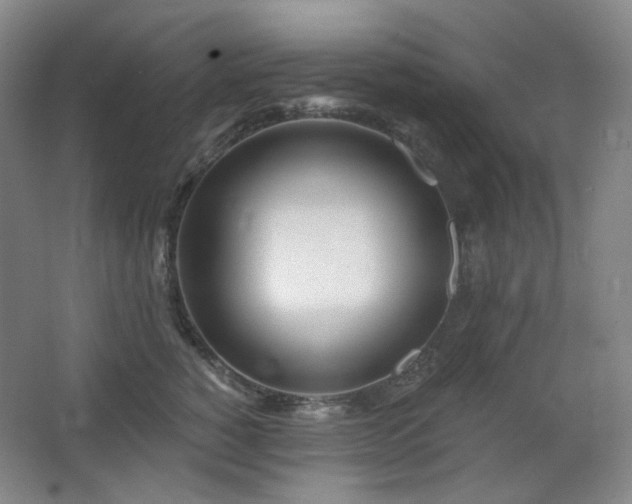 X0000064720760200602101124