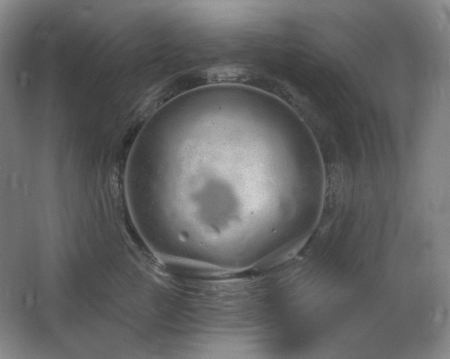 X0000064720761200602101124