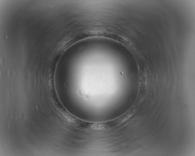 X0000064720762200602101124