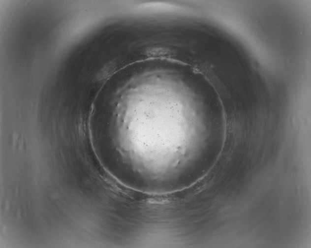 X0000064720763200602101124