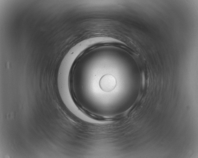 X0000064720764200602101124