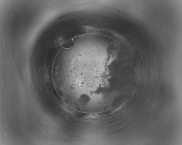 X0000064720765200602101124