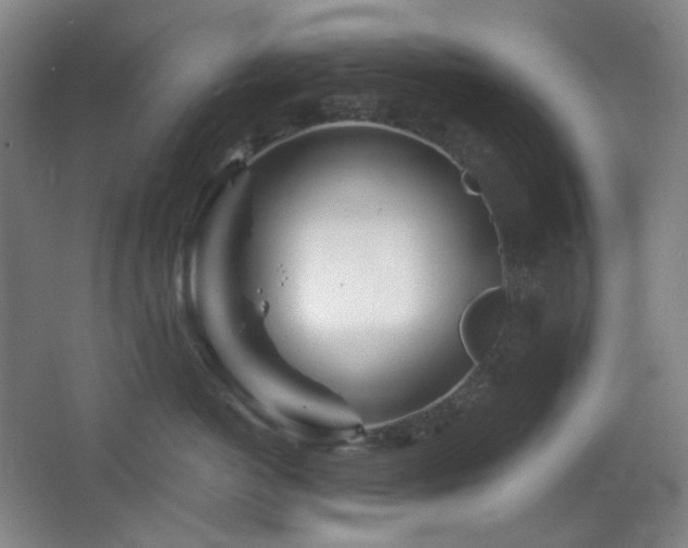 X0000064720766200602101124