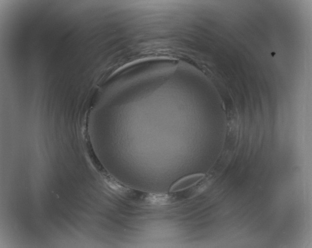 X0000064720767200602101124