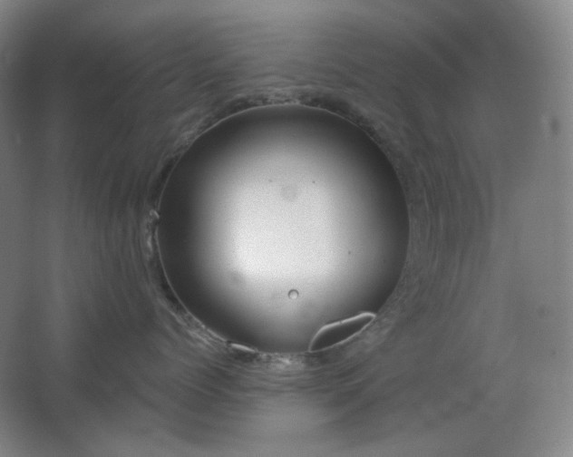 X0000064720768200602101124