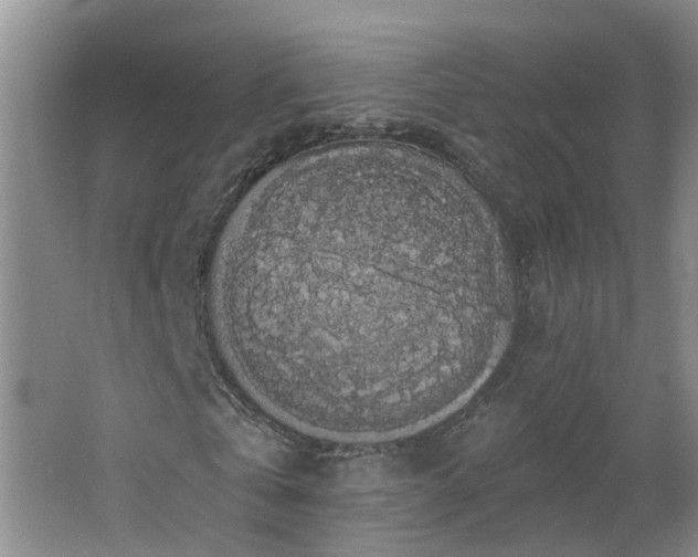 X0000064720769200602101123