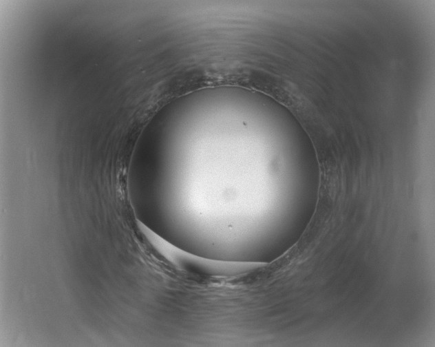 X0000064720770200602101123