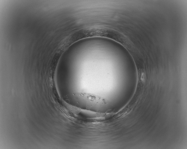 X0000064720771200602101123