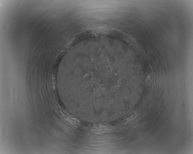 X0000064720772200602101123