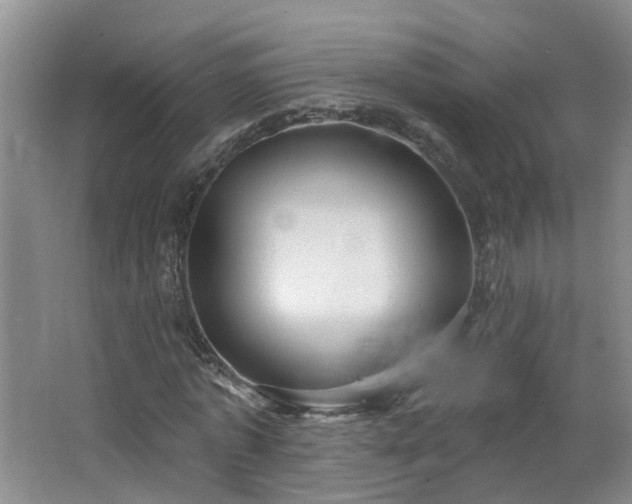 X0000064720773200602101123