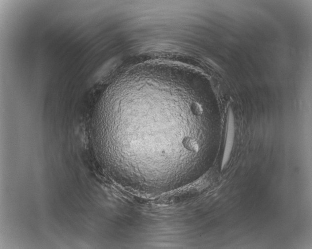 X0000064720774200602101123