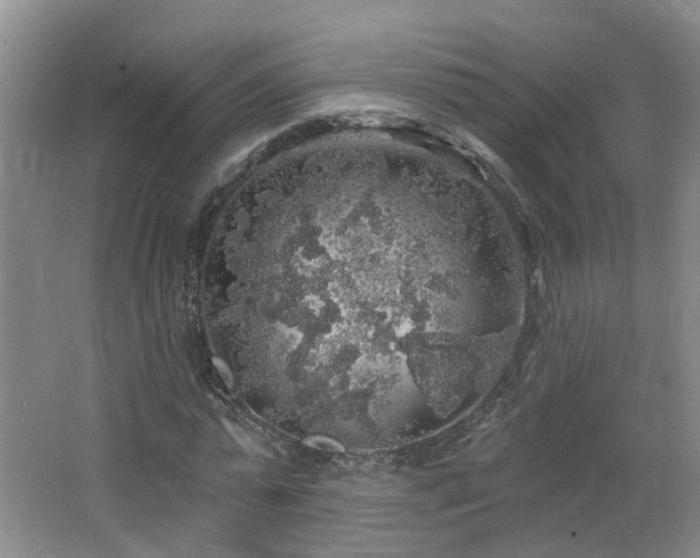 X0000064720775200602101123