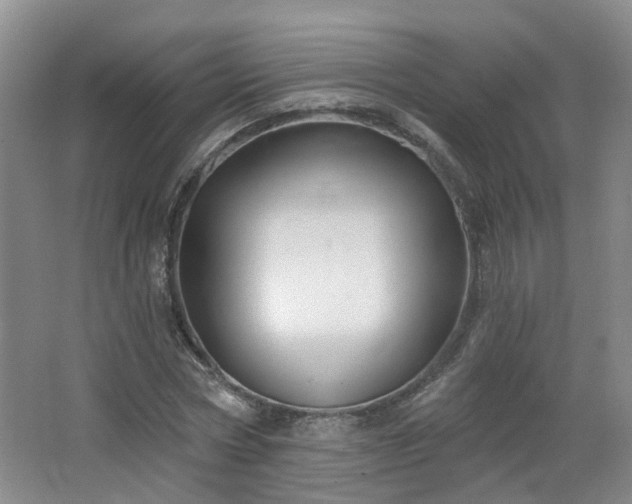 X0000064720778200602101123