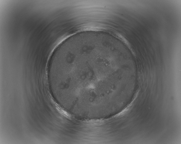 X0000064720779200602101123