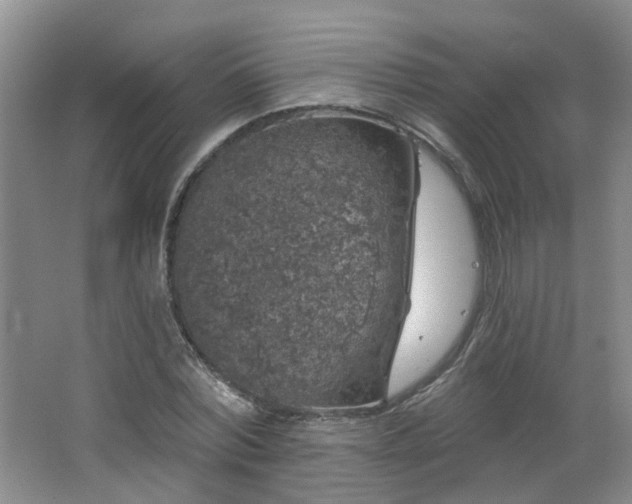 X0000064720780200602101123