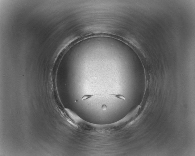 X0000064720782200602101123