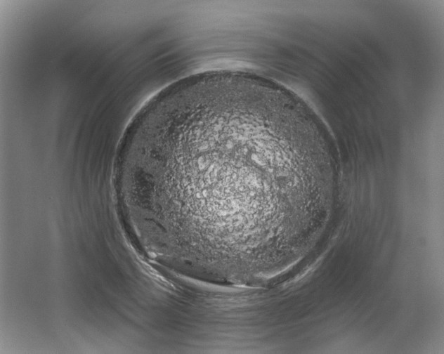 X0000064720783200602101123