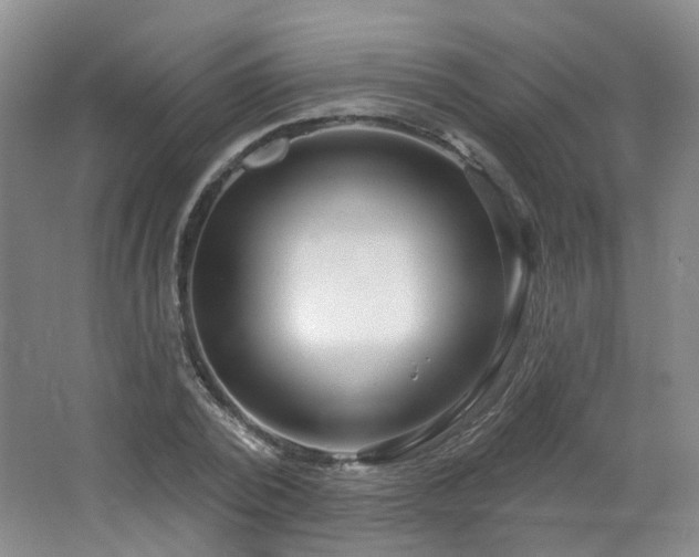 X0000064720784200602101123