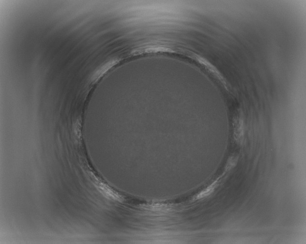 X0000064720785200602101123