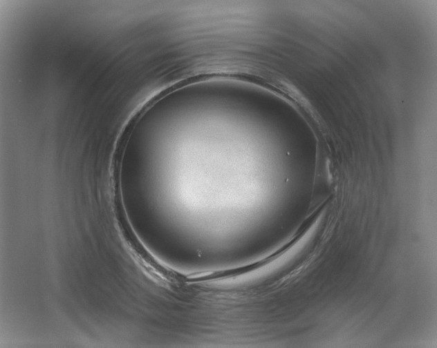 X0000064720787200602101123