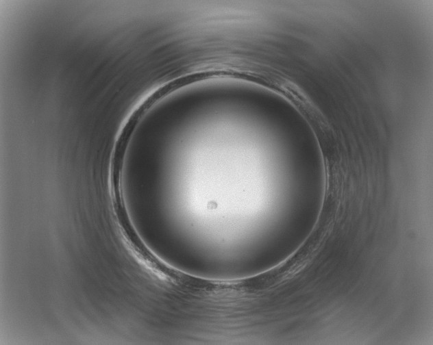 X0000064720788200602101123