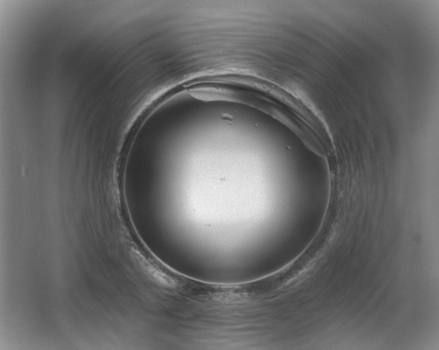 X0000064720789200602101123